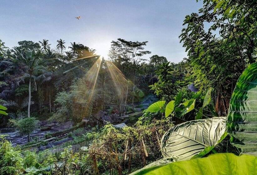 غرفة ديلوكس, Bambu Indah