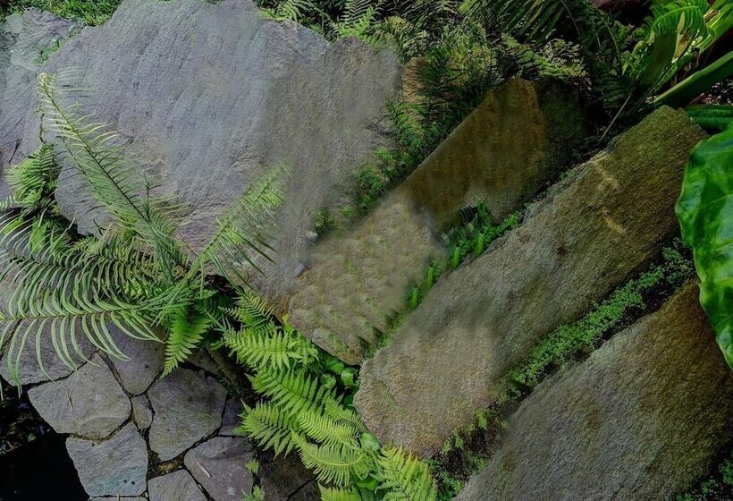 غرفة ديلوكس, Bambu Indah