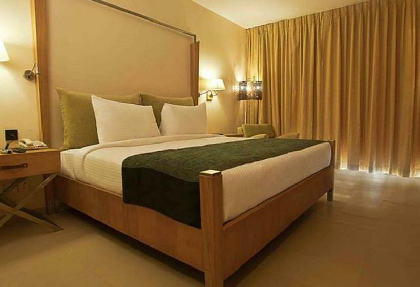 エクゼクティブルーム, Ginger Dona Paula Goa