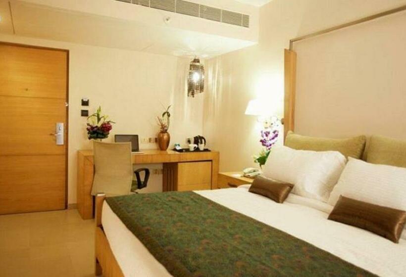 エクゼクティブルーム, Ginger Dona Paula Goa