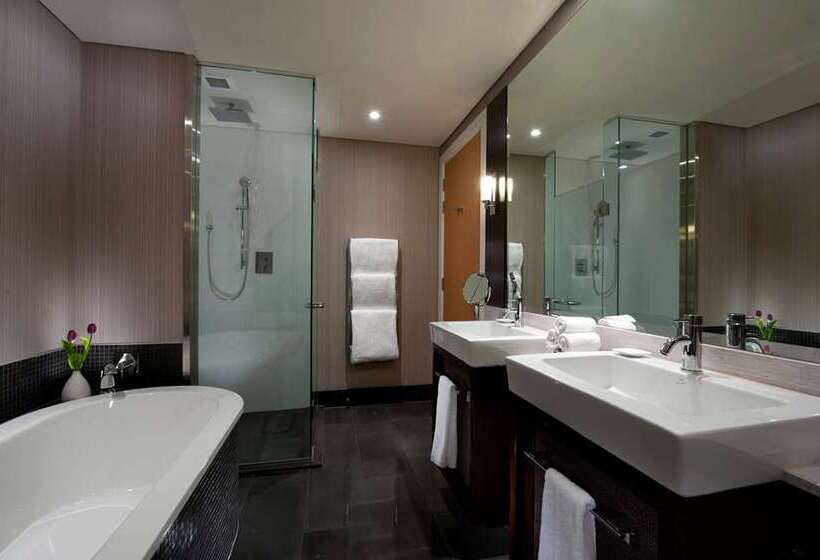 스탠다드 룸 킹사이즈 침대, Hilton Queenstown Resort & Spa