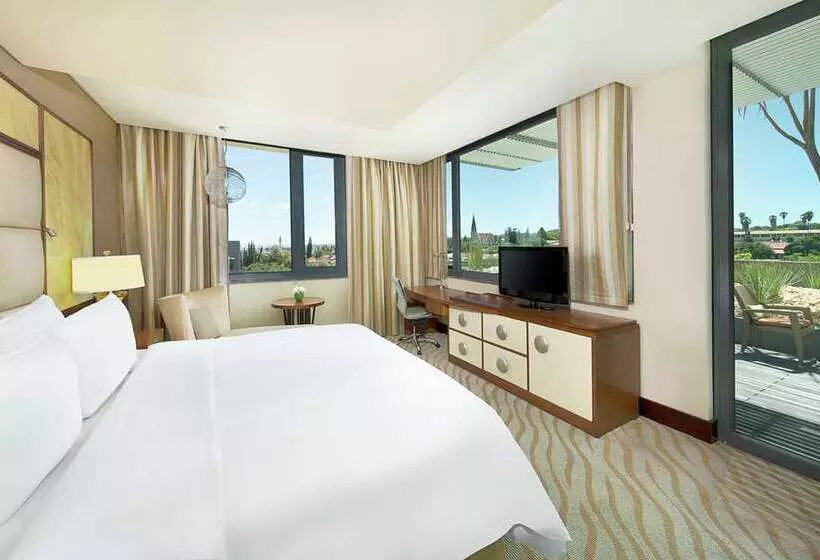 اتاق اجرایی با تخت بزرگ, Hilton Windhoek