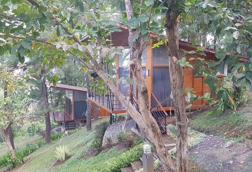标准房带园景, Manohara Resort