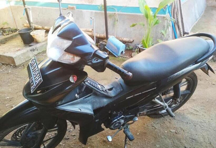 Номер Economy, Budaya Kaki Rinjani