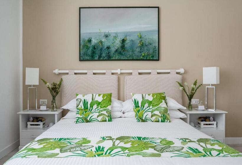 غرفة قياسية, Donna Laura