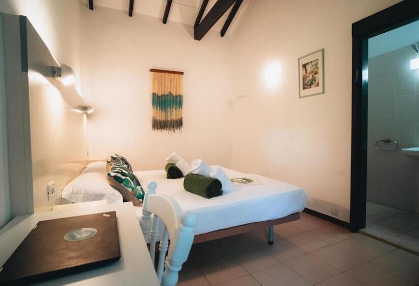 スタンダードルーム, Cactus Hostel