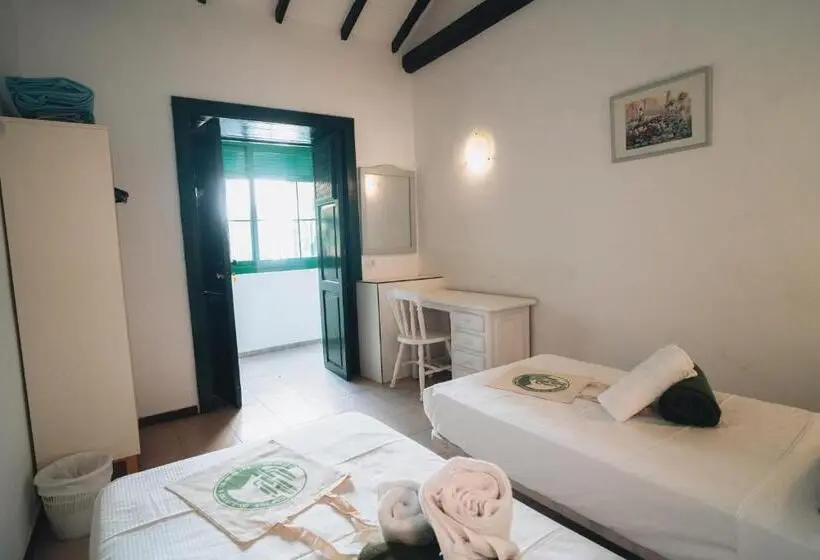 スタンダードルーム, Cactus Hostel