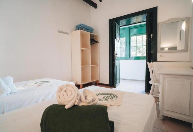 스탠다드 룸 공동 욕실, Cactus Hostel
