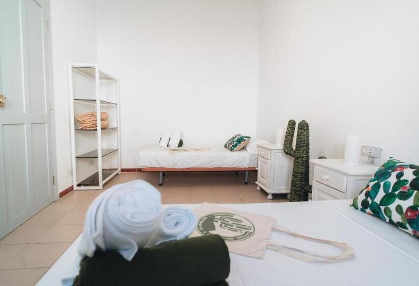 Кровать в Многоместном Номере с Общей Ванной, Cactus Hostel