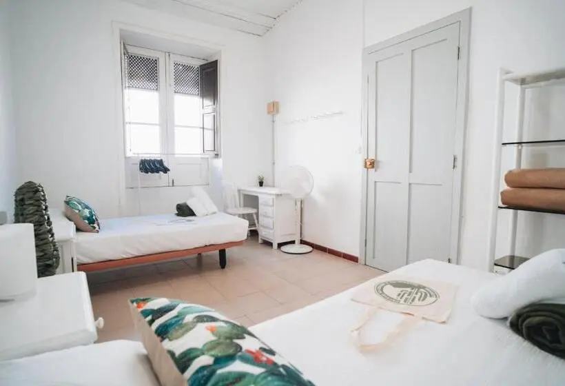 共同バス付シェアルーム, Cactus Hostel