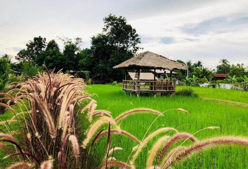 اتاق استاندارد, Baan Thung Home Stay