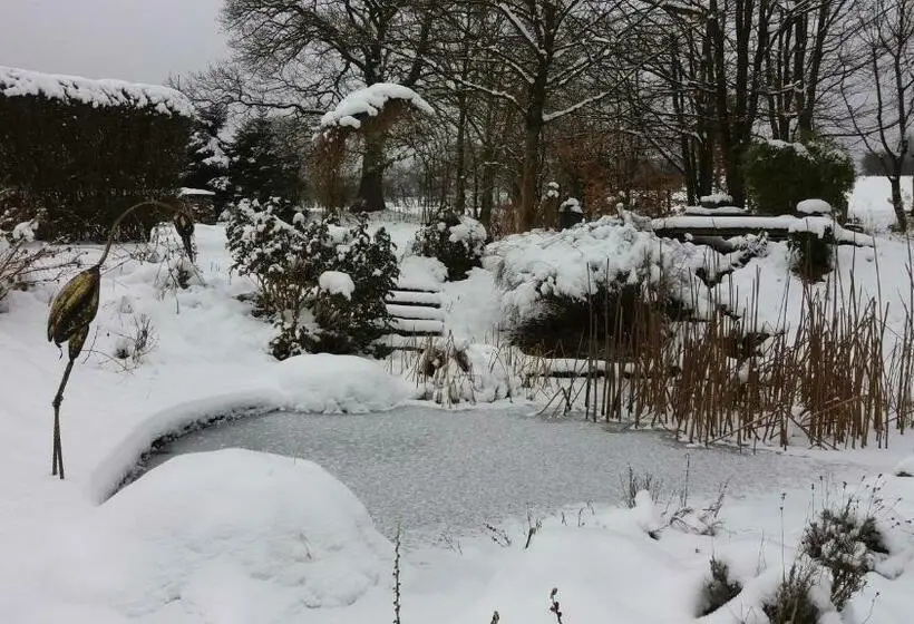 اتاق استاندارد, Un Matin Au Jardin