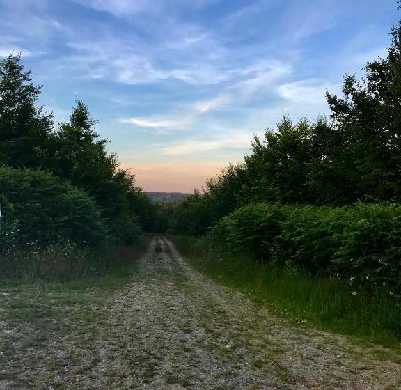 スタンダードルーム, Un Matin Au Jardin