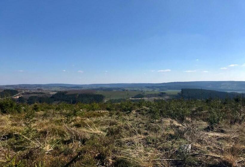 غرفة قياسية, Un Matin Au Jardin