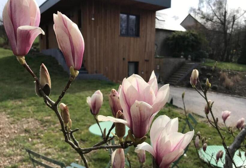 スタンダードルーム, Un Matin Au Jardin