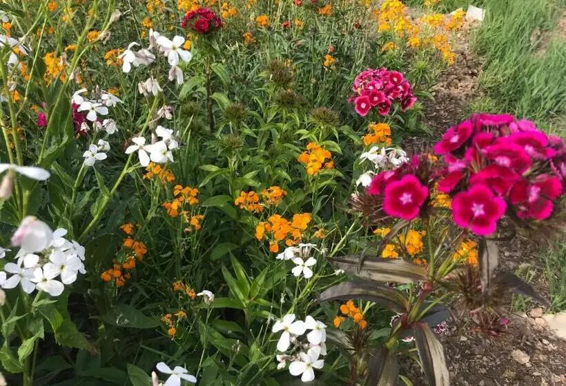 اتاق استاندارد با چشم‌انداز باغ, Un Matin Au Jardin
