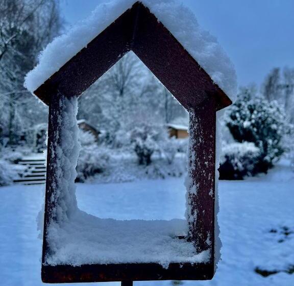 スタンダードルーム, Un Matin Au Jardin
