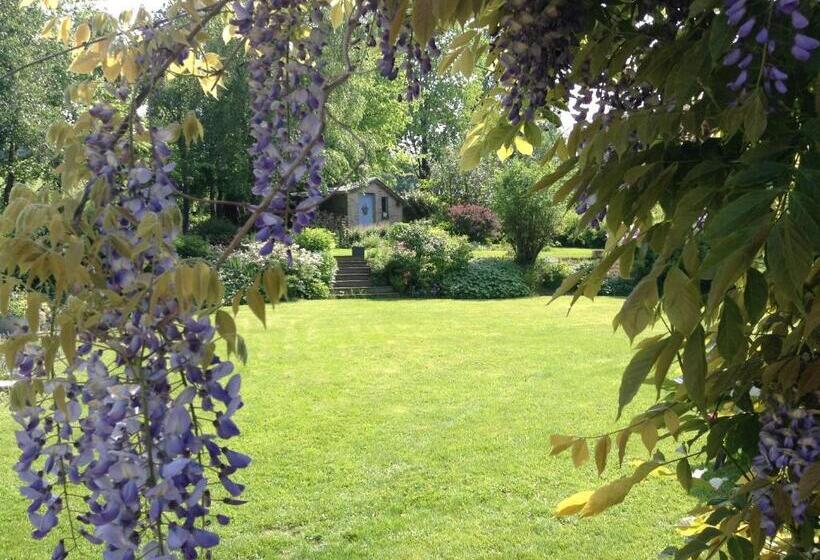 スタンダードルーム, Un Matin Au Jardin