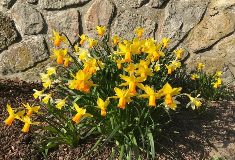 ガーデンビュースタンダードルーム, Un Matin Au Jardin