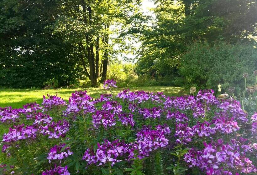 غرفة قياسية مطلّة علي الحديقة, Un Matin Au Jardin