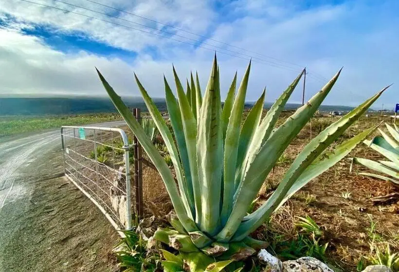 1ベッドルームハウス, Middelfontein Farm