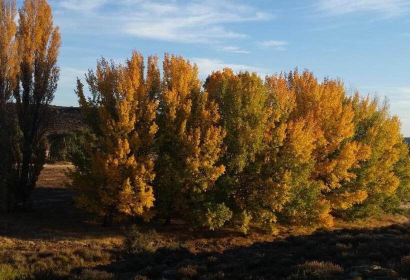 침실 1개 주택, Middelfontein Farm