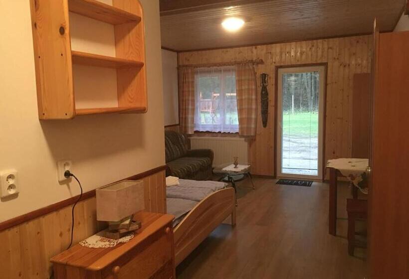 غرفة قياسية, Pension Peklo