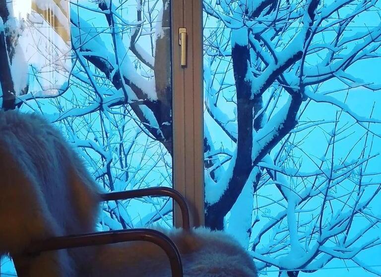 استودیو خانوادگی, Foresteria B&b Vecchiascuola Pianazzola