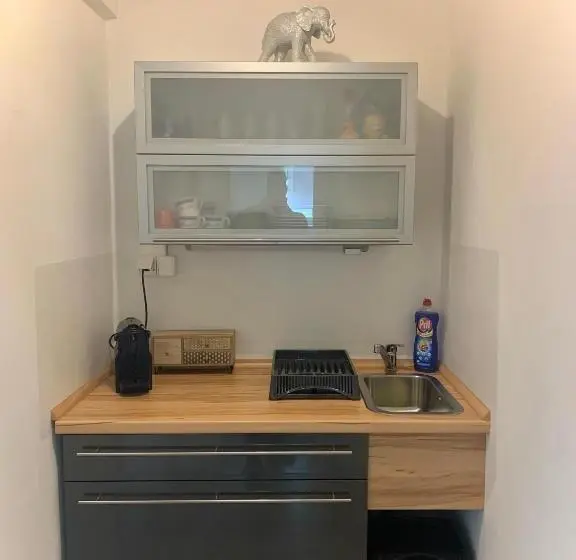 ペントハウスルーム, Apartment Im Grünen