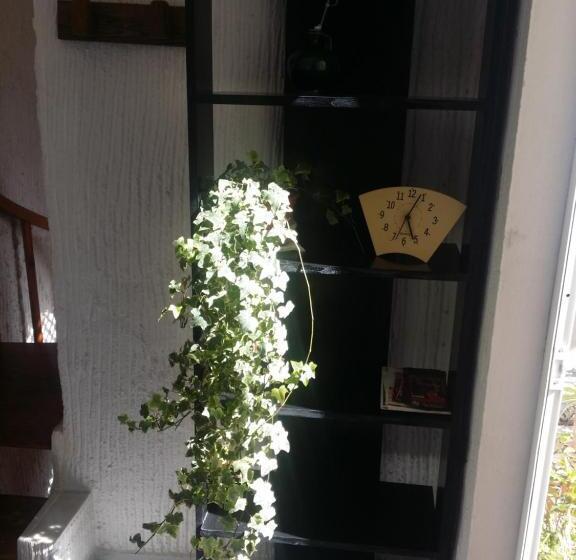 סטודיו סטנדרט עם מרפסת, Villa Marina