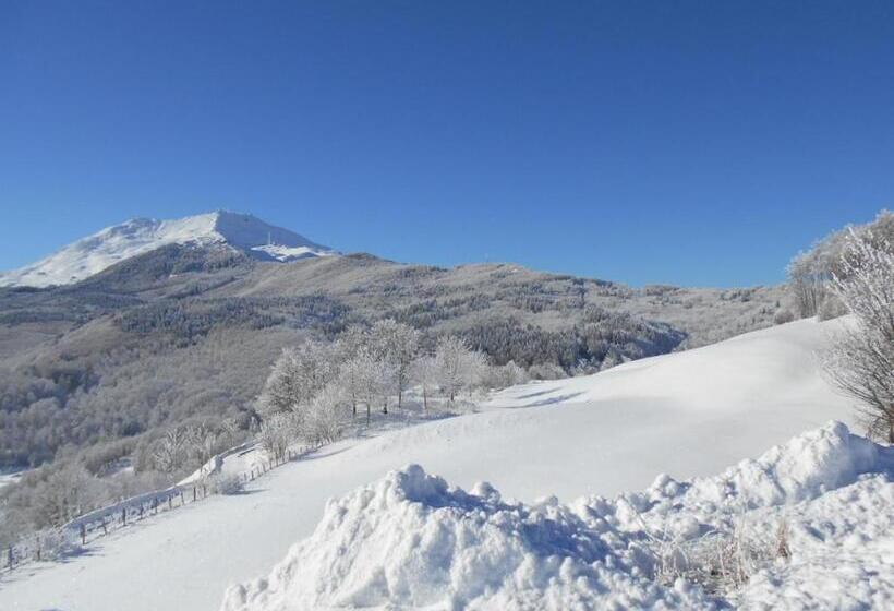 １ベッドルームハウス, Residence Fontanelle