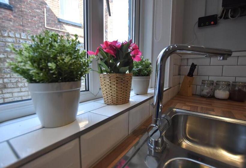 شقة غرفة واحدة, Western Hill