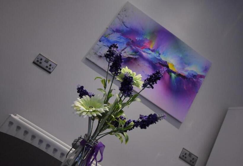 شقة غرفة واحدة, Western Hill