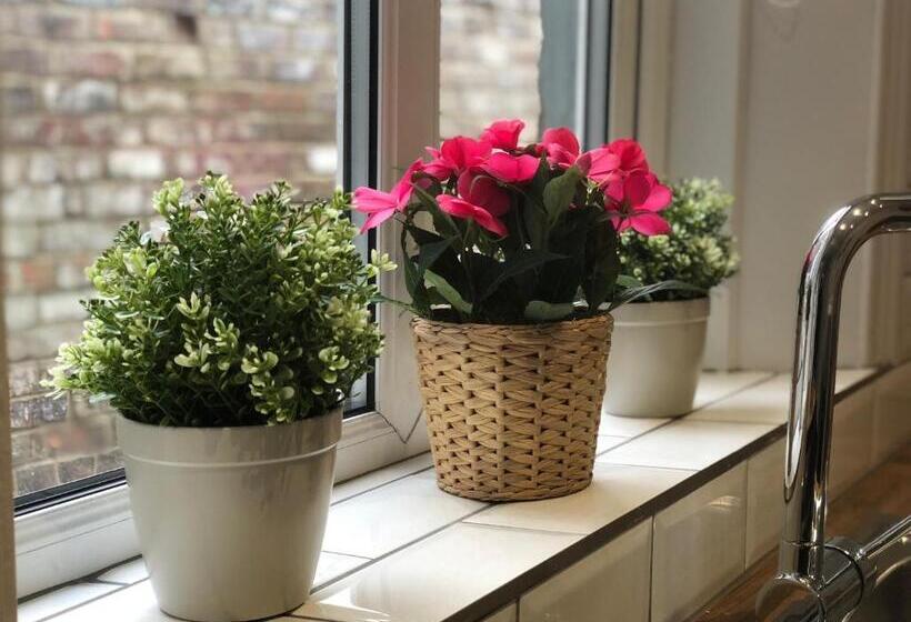 شقة غرفة واحدة, Western Hill