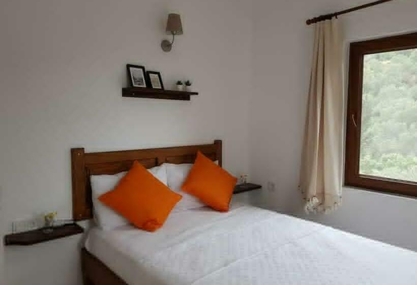 Standardrum, Artolive Datca