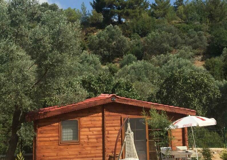 Standard Bungalow Trädgårdsutsikt, Artolive Datca