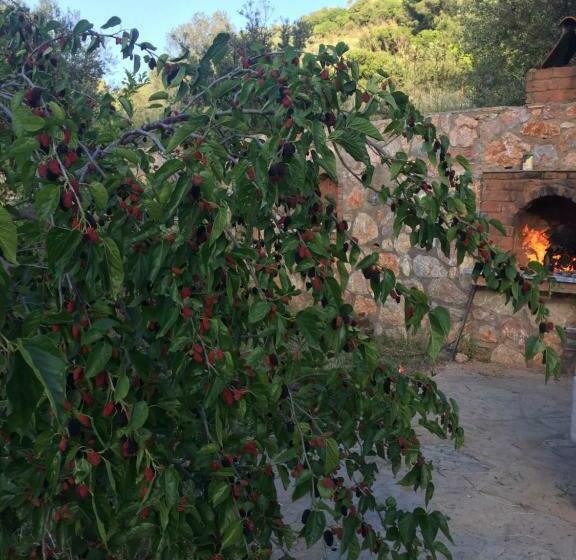 1 Sovrumslägenhet Bottenvåning, Artolive Datca