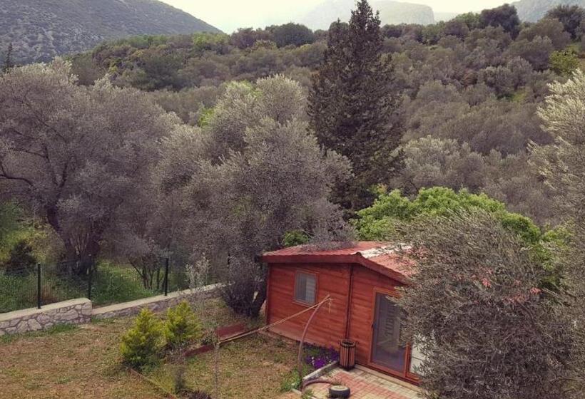 Standard Bungalow Trädgårdsutsikt, Artolive Datca