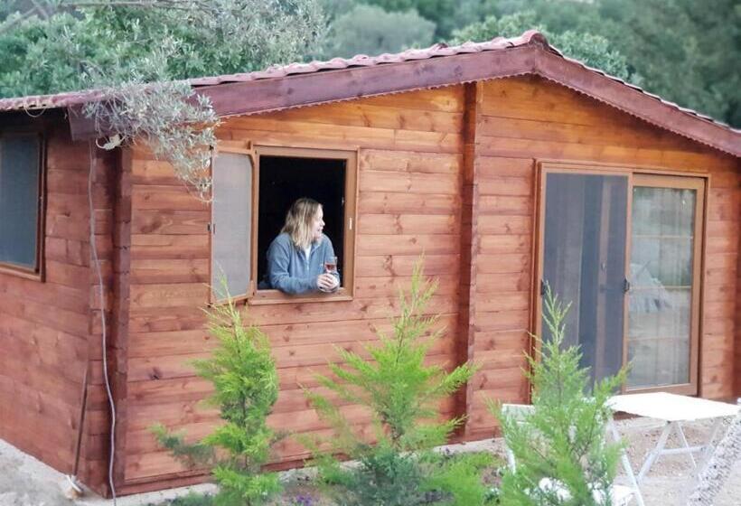 Standard Bungalow Trädgårdsutsikt, Artolive Datca