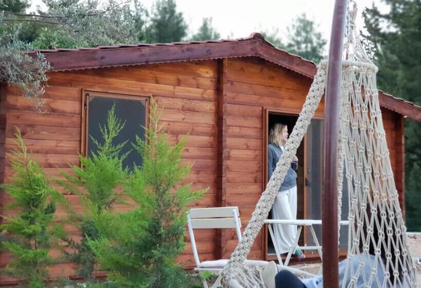 Standard Bungalow Trädgårdsutsikt, Artolive Datca