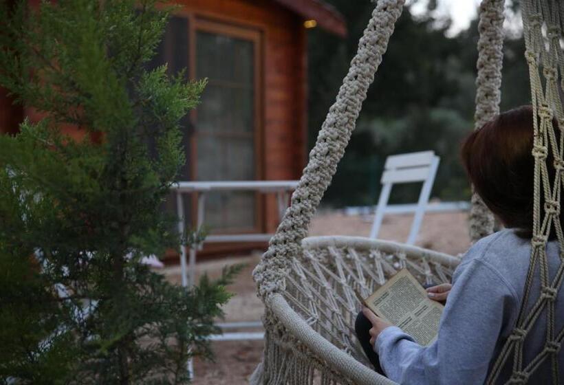 Standard Bungalow Trädgårdsutsikt, Artolive Datca