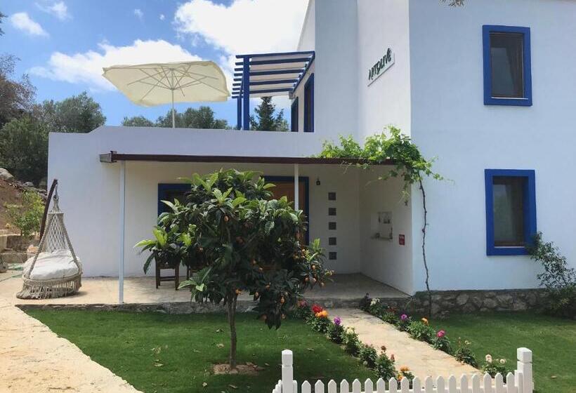 Standardrum med Terrass, Artolive Datca