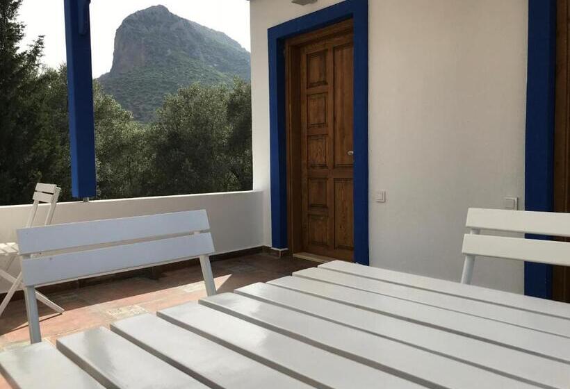 Standardrum med Terrass, Artolive Datca