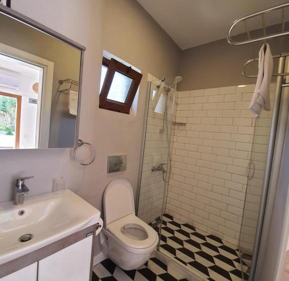 Standardrum, Artolive Datca