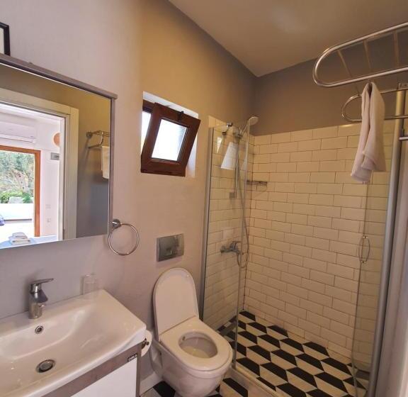 Standardrum, Artolive Datca