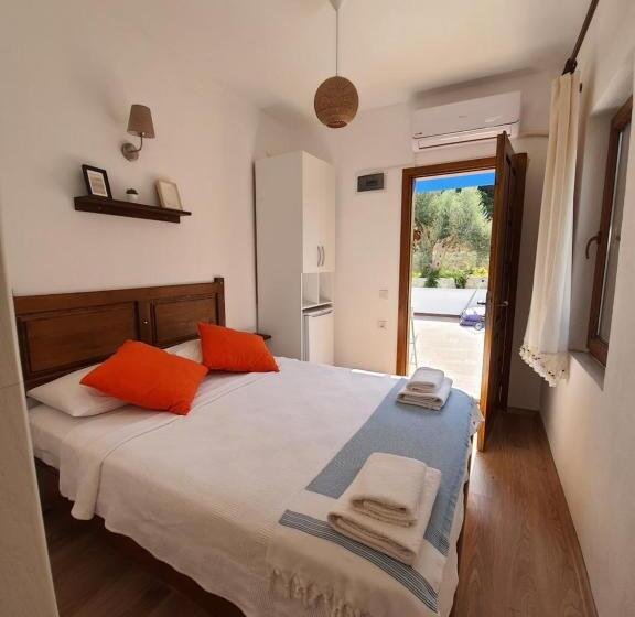 Standardrum, Artolive Datca