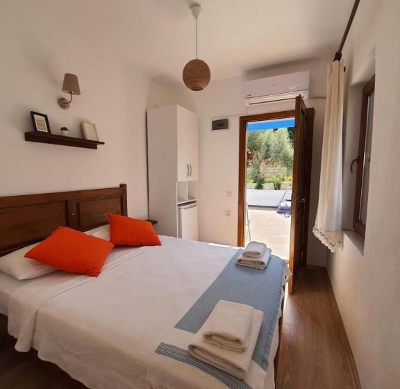 Standardrum, Artolive Datca