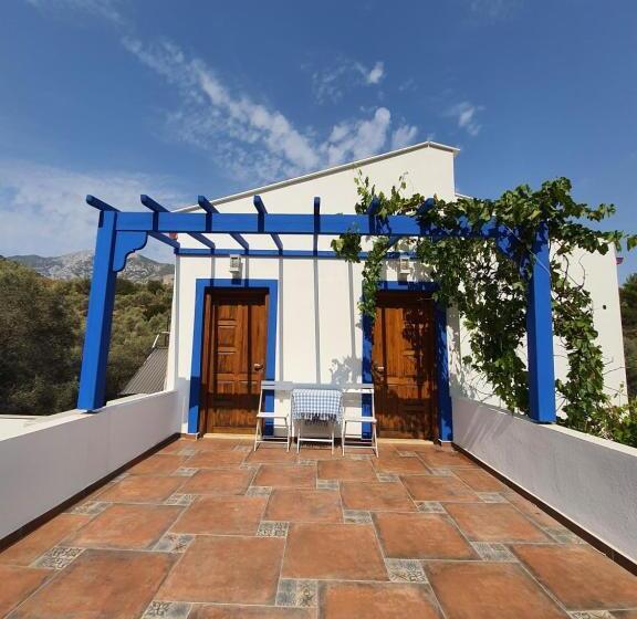 Standardrum, Artolive Datca