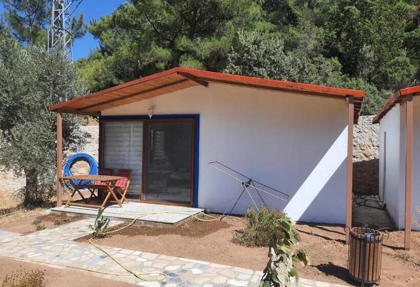 Familj Bungalow, Artolive Datca