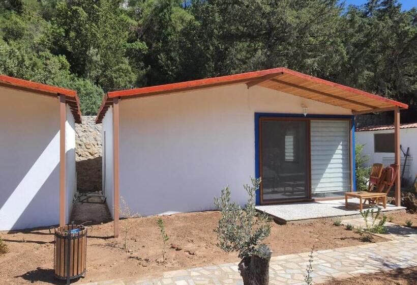 Familj Bungalow, Artolive Datca